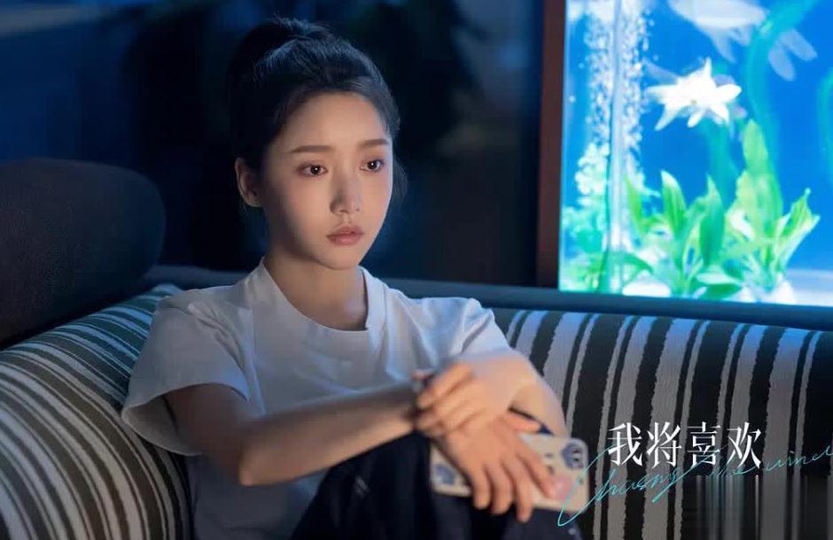 国外想看国内的电视应该用什么软件教程